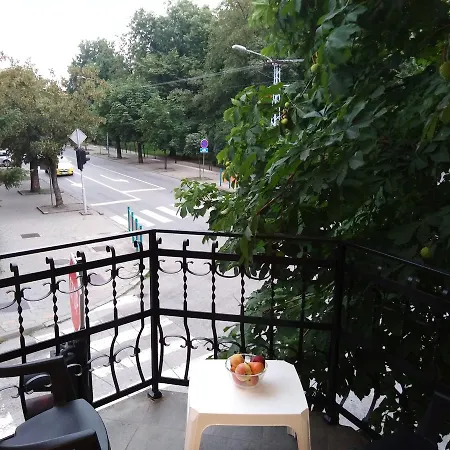 Villa Veliki Park Sabac
